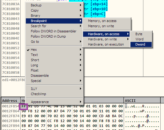 Hardware Breakpoint