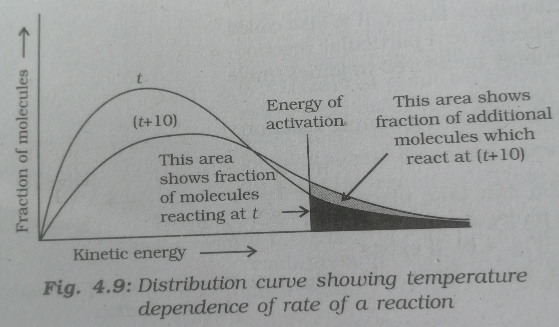 Graph between fraction of molecules and kinetic energy of the gas molecules of a gas sample