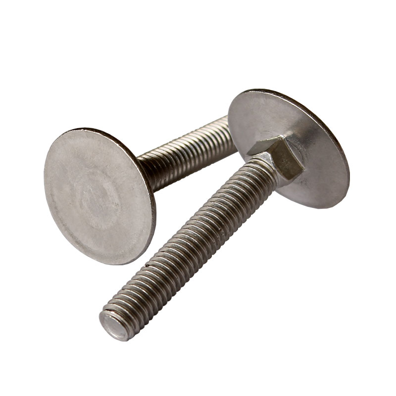 stainless steel elevator bolt