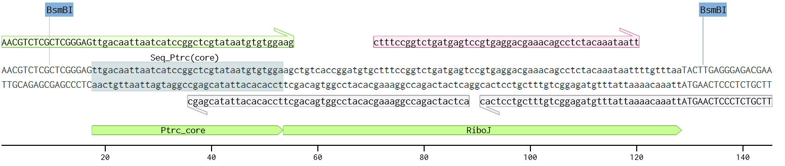 Olinucleotides design for PCA assembly reaction