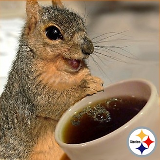 steelersquirrel's user avatar