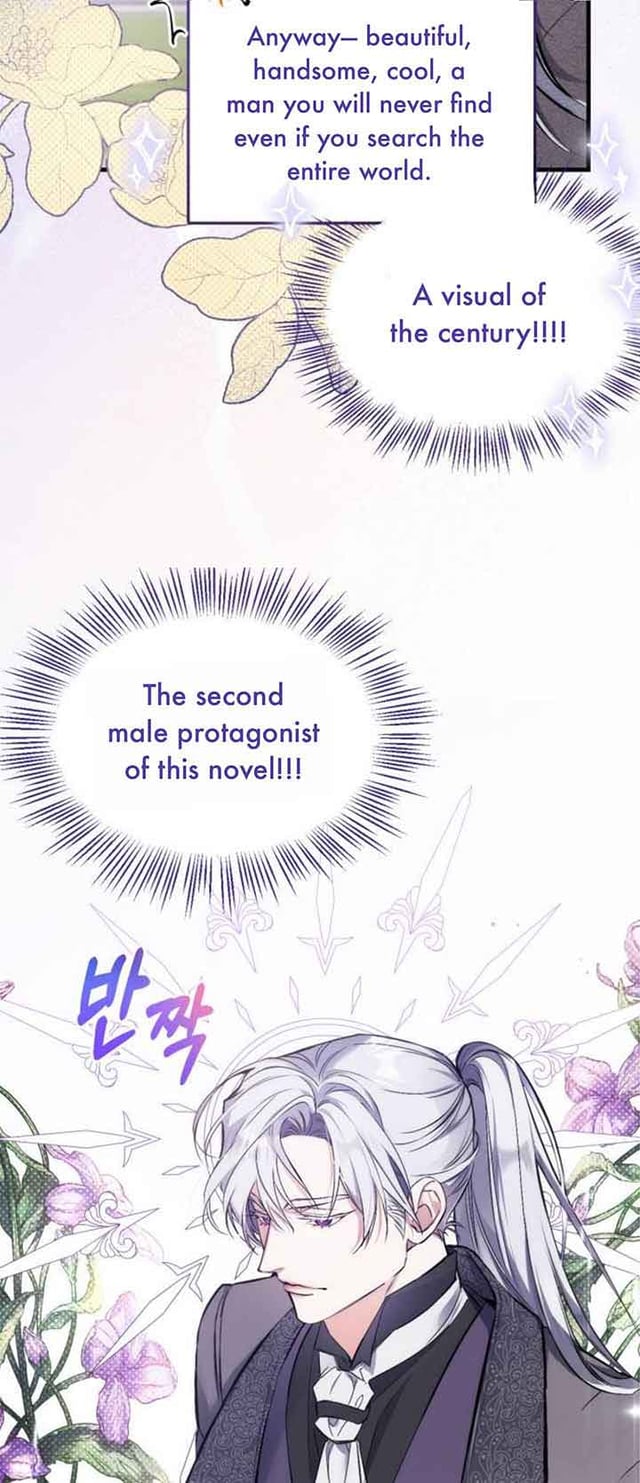 Narration reads "Anyway- beautiful, handsome, cool, a man you will never find even if you search the entire world.  A visual of the century!!!"  "The second male protagonist of the novel!!!" A portrait of a man with long white hair wearing a black shirt, white tie and a purple suit with the caption "2nd Male Lead Kaelus"