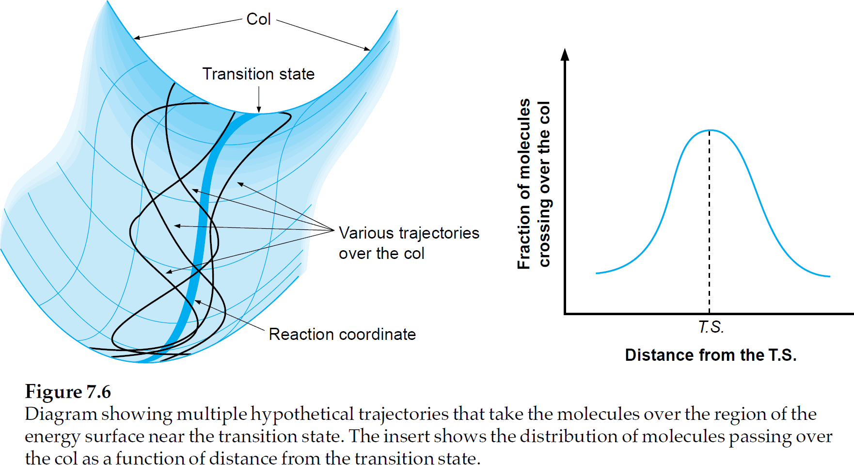 The reaction coordinate diagram (shown on the right) must actually be seen as an energy surface (shown on the left)