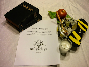 Mi Yodeya Publications: Days of Awe