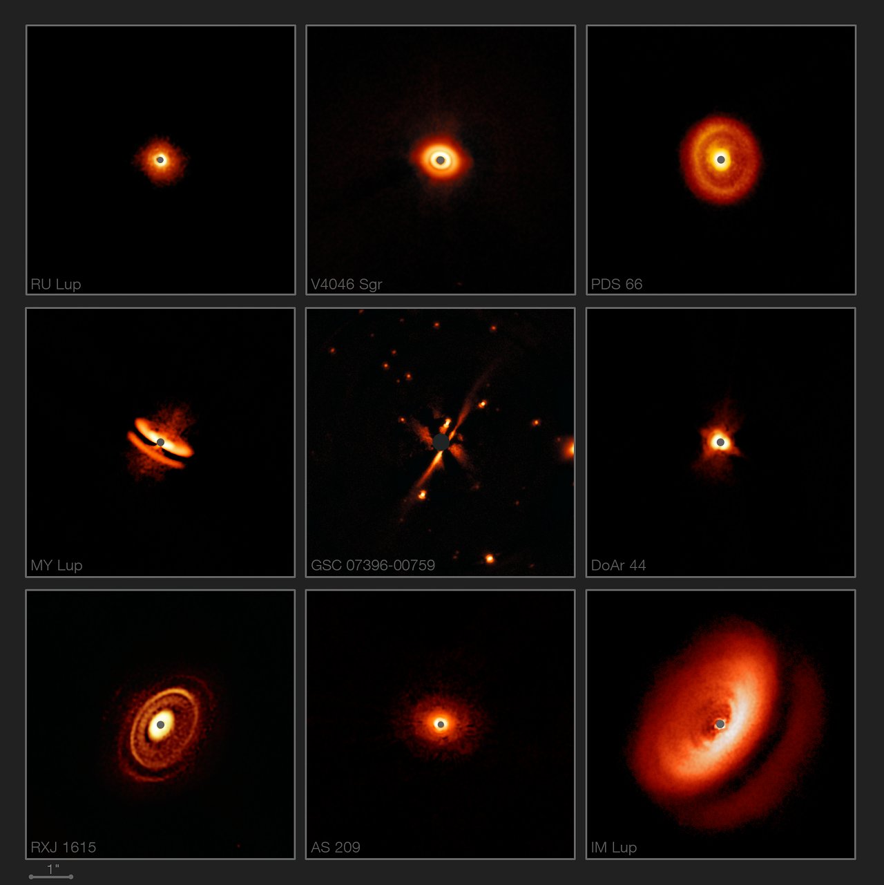 Wobbling Shadow of the M87* Black Hole | Event Horizon Telescope