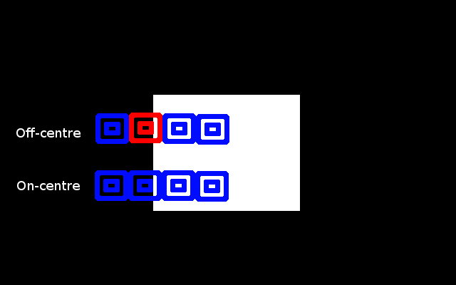 Here's an over-simplified illustration that I made, red is hyperpolarized (excited), blue is hypopolarized (inhibited)