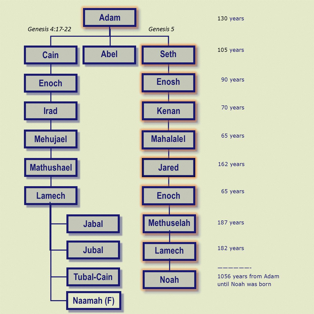 Adam's descendants