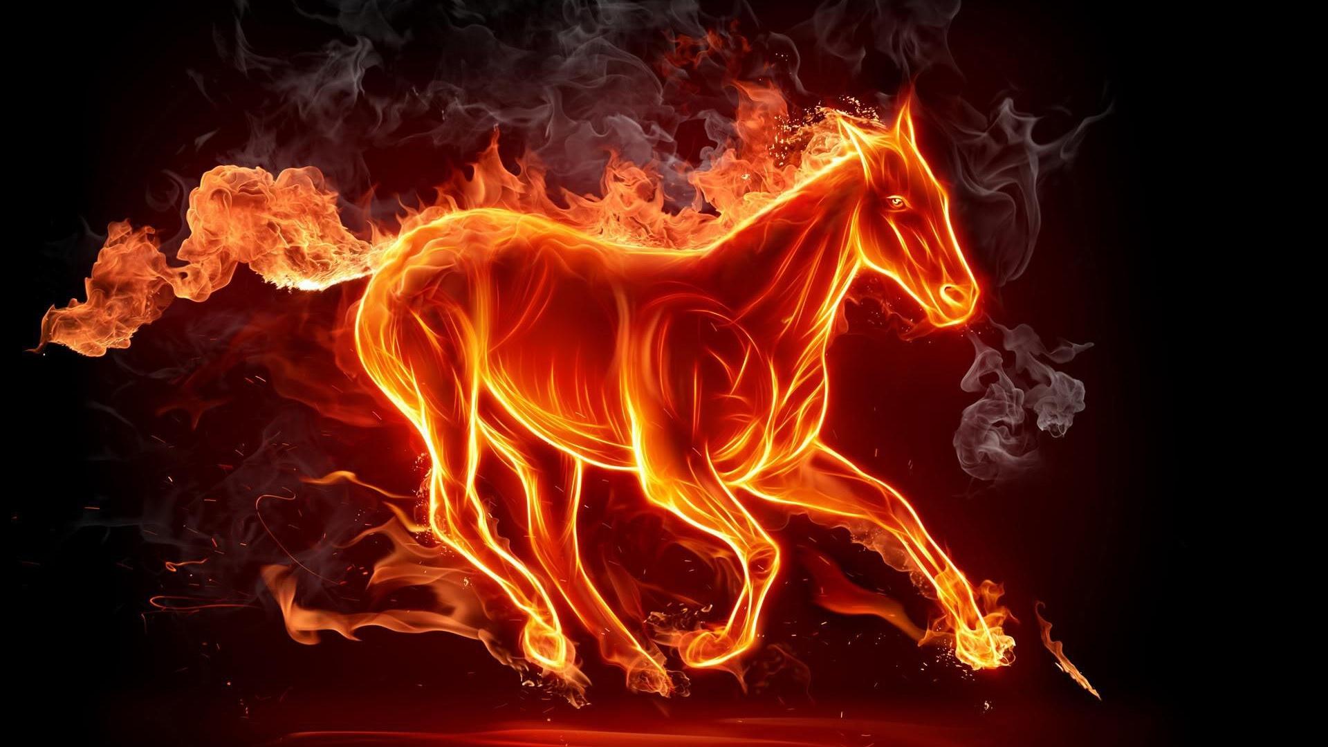 firehorse's user avatar