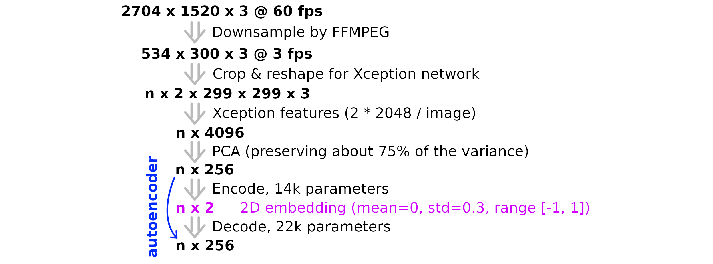 video processing pipeline