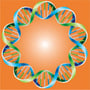 Another DNA plasmid