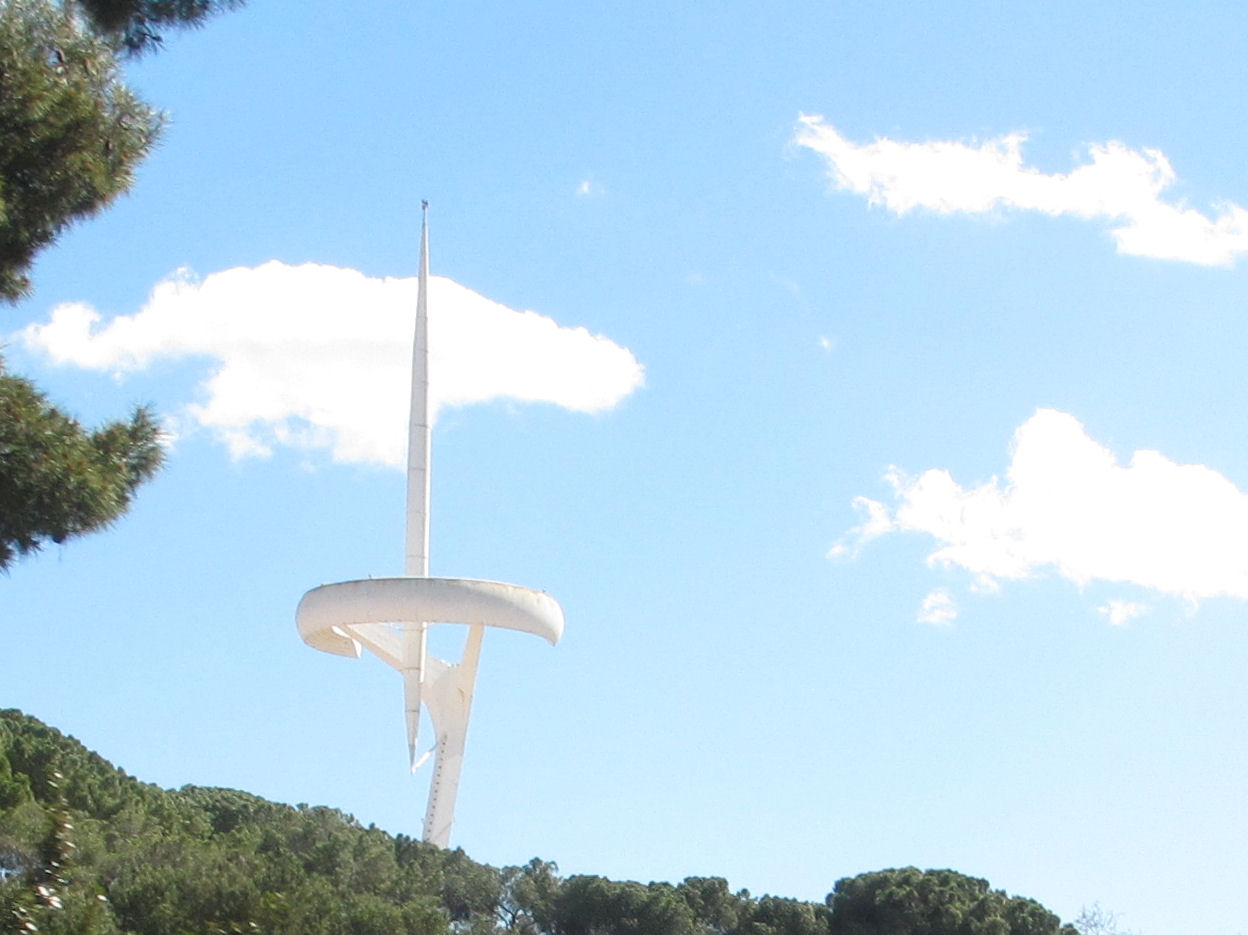 Photo of a slender white tower seen over forest