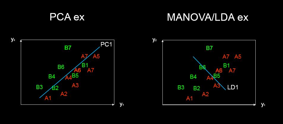 PCs and LDs are constructed differently, and coefficients for an LD may not give you a sense of how original variables vary in your dataset