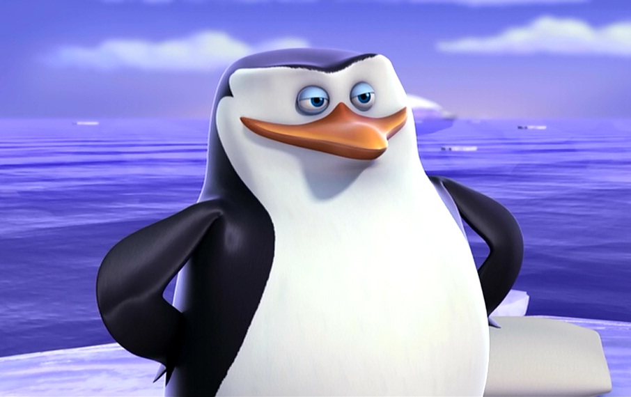 Skipper's user avatar