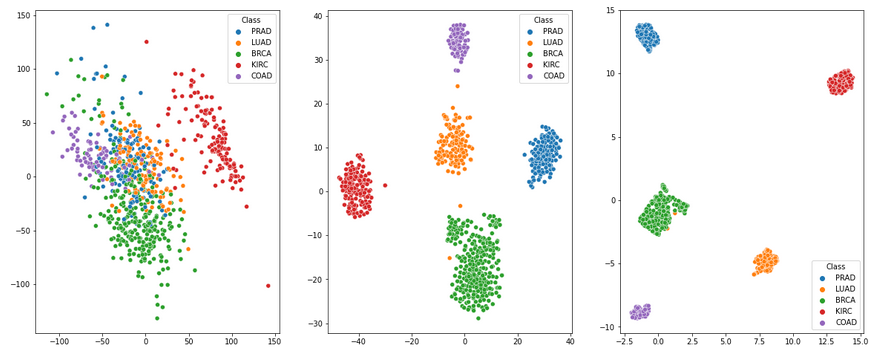 PCA/TSNE/UMAP resultsx