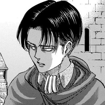 Levi's user avatar