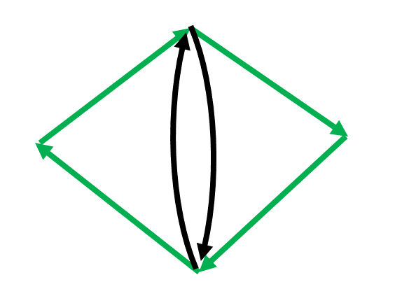 cat's eye graph with uncoverable directed cycles