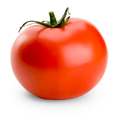 a picture of a tomato.