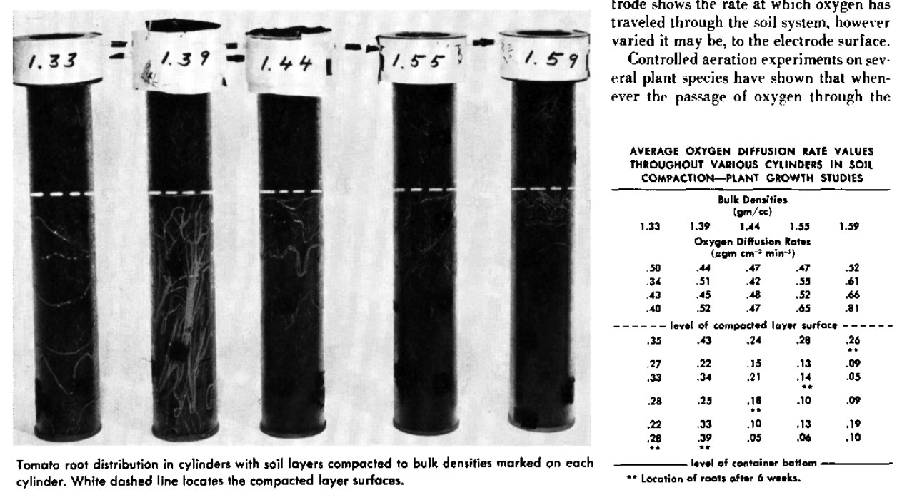 An image of five test cylinders of soil showing different degrees of root compaction at different depths, and a table of measured oxygen diffusion rate in each of the samples