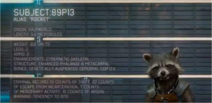 Rocket having his mugshot taken on Xandar, a list on the side of the screen gives various pieces of information about him including: Origin: Haldworld