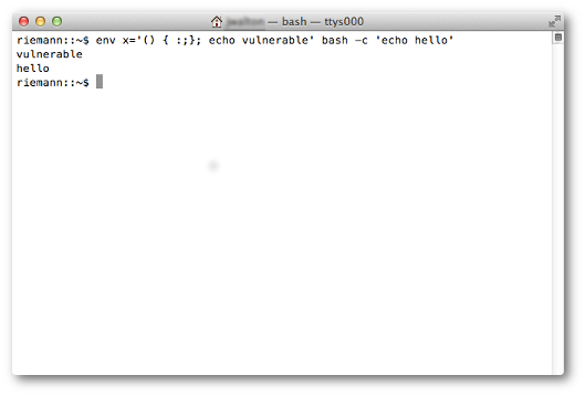 Screenshot of bash terminal showing vulnerability in 10.8.5