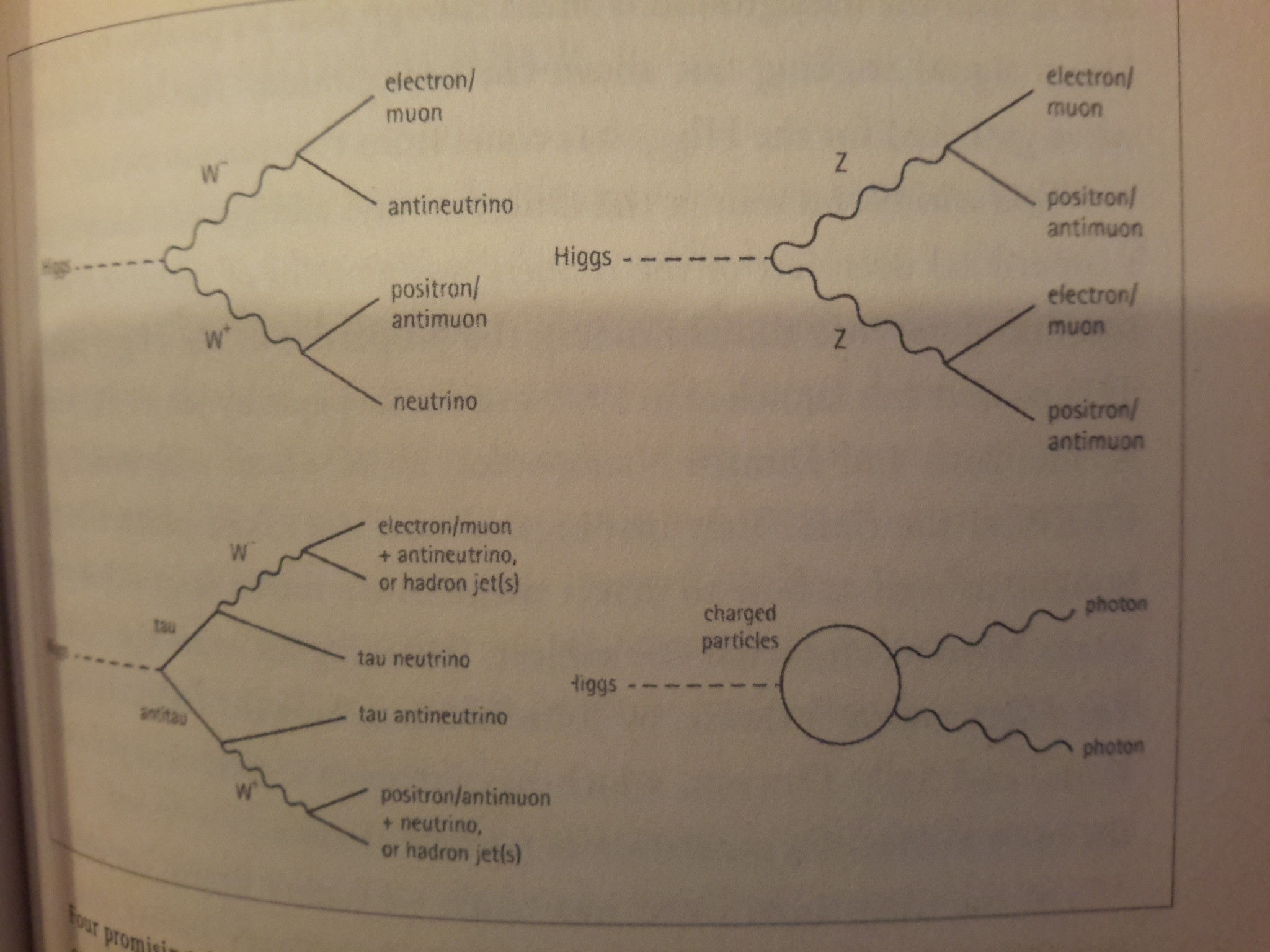 Decay Channels