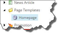 Homepage template