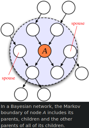 Typical Markov boundary explanation