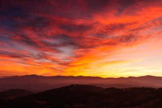 A Golden Morning  - Vikas