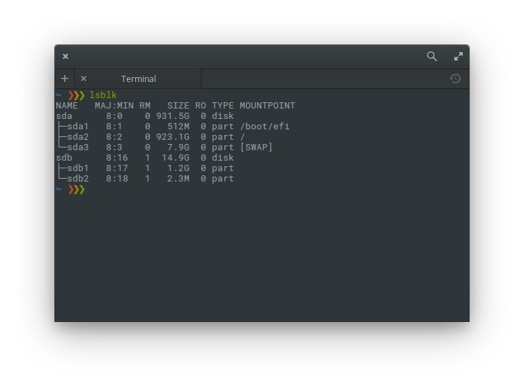 The 'lsblk' command in eOS terminal