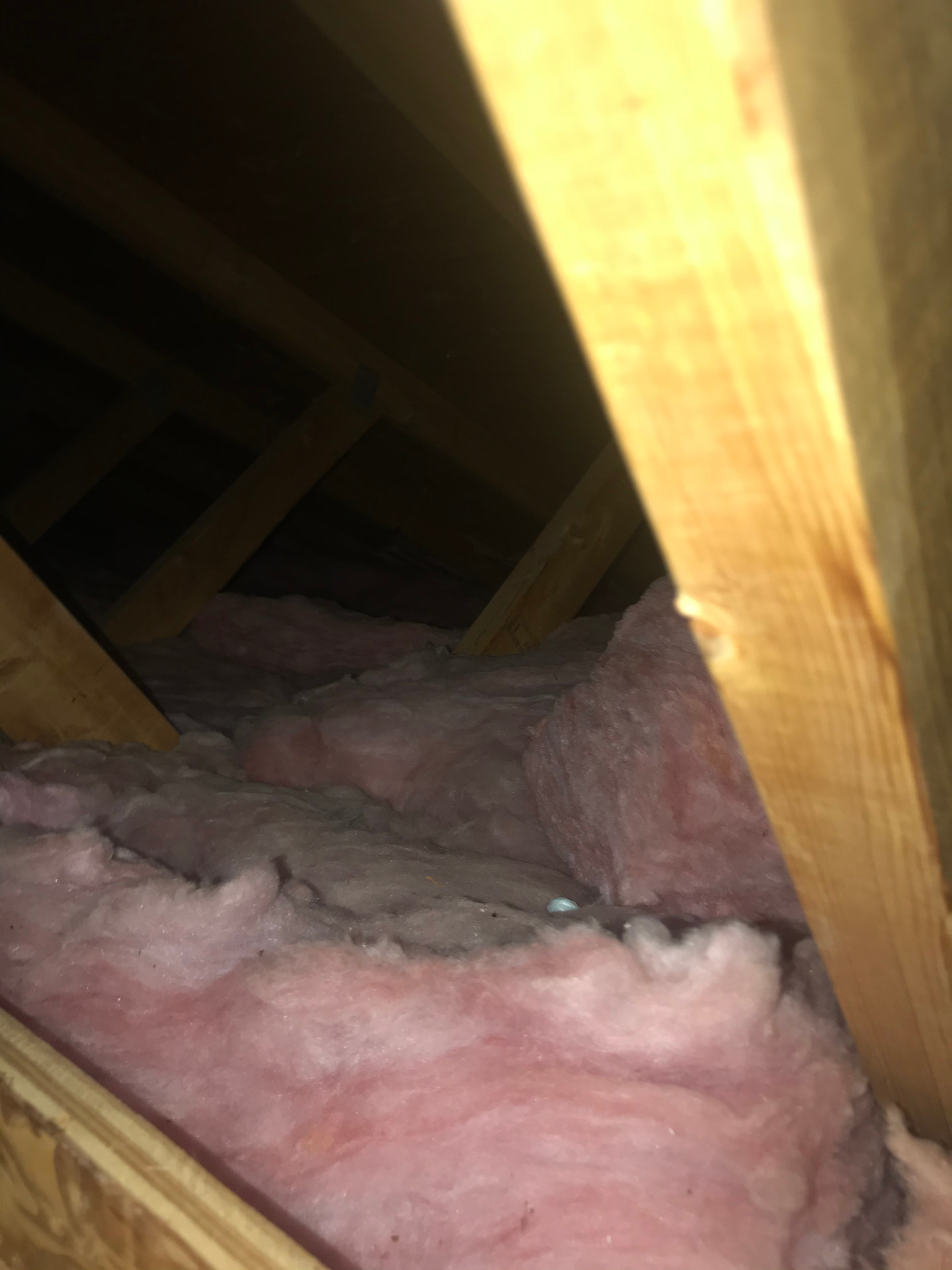 Attic 1