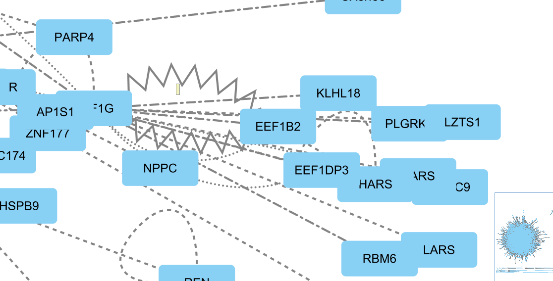 Cytoscape screenshot