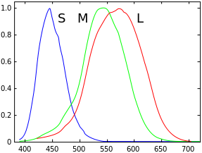 Human eye spectral response curve, from Wikipedia