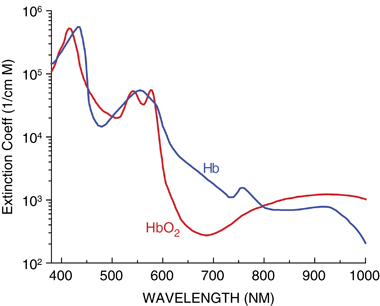 Hb/HbO2 absorbance