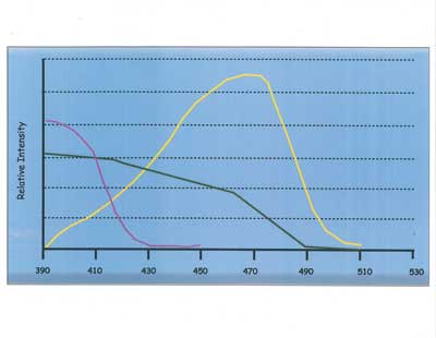 Camphorquinione optical absorption