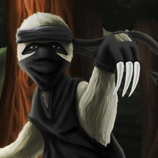 le_ninja_sloth