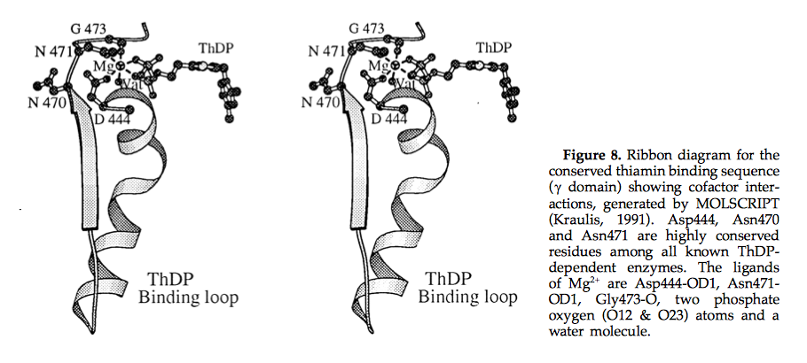 TPP binding site in PDH