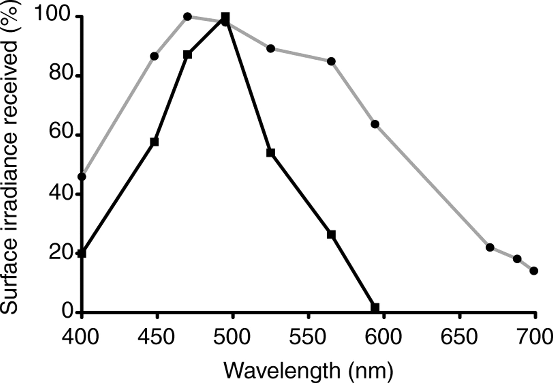 Deep vs. Shallow Adapted Coral