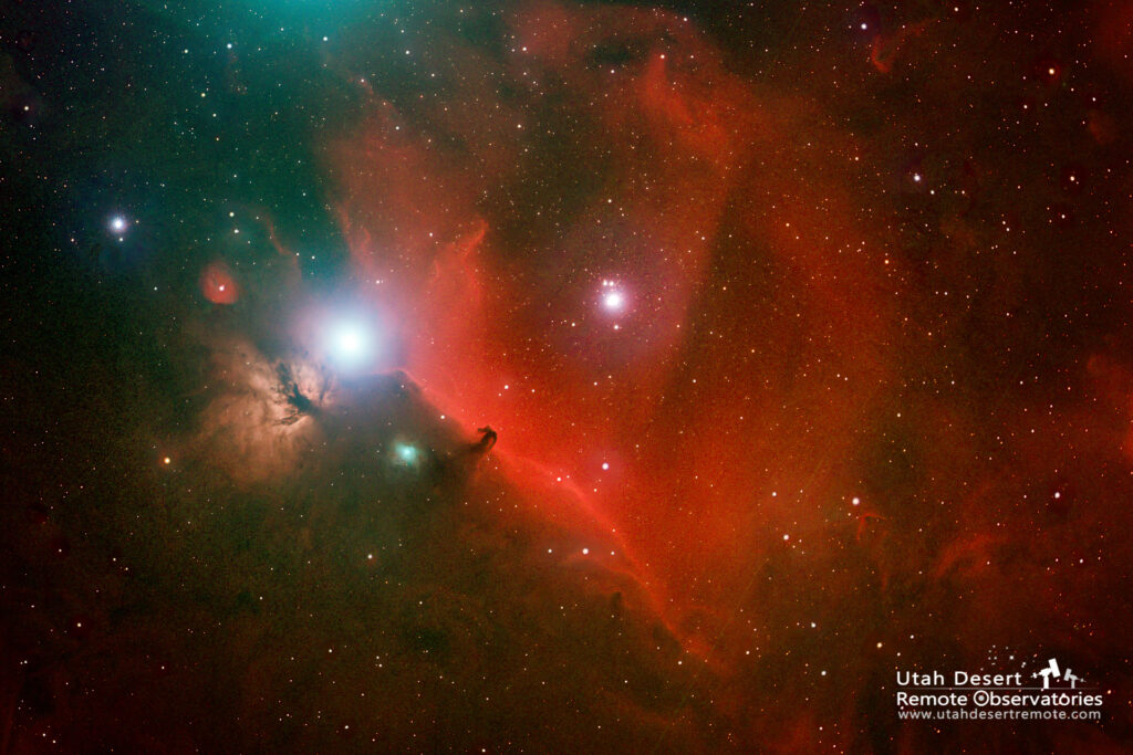 Horsehead H alpha