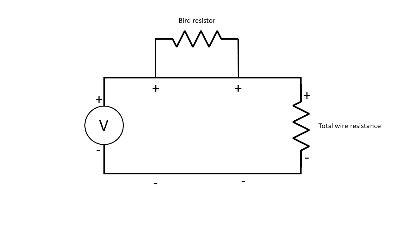 Resistance diagram with bird