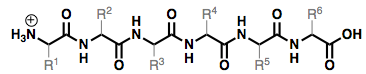 Hexapeptide at pH 2