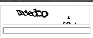 recaptcha 2