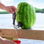 Example of a tap from http://www.thegreenhead.com/imgs/xl/watermelon-keg-tap-xl.jpg