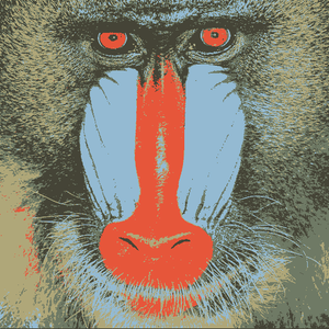 Color-quantized mandrill