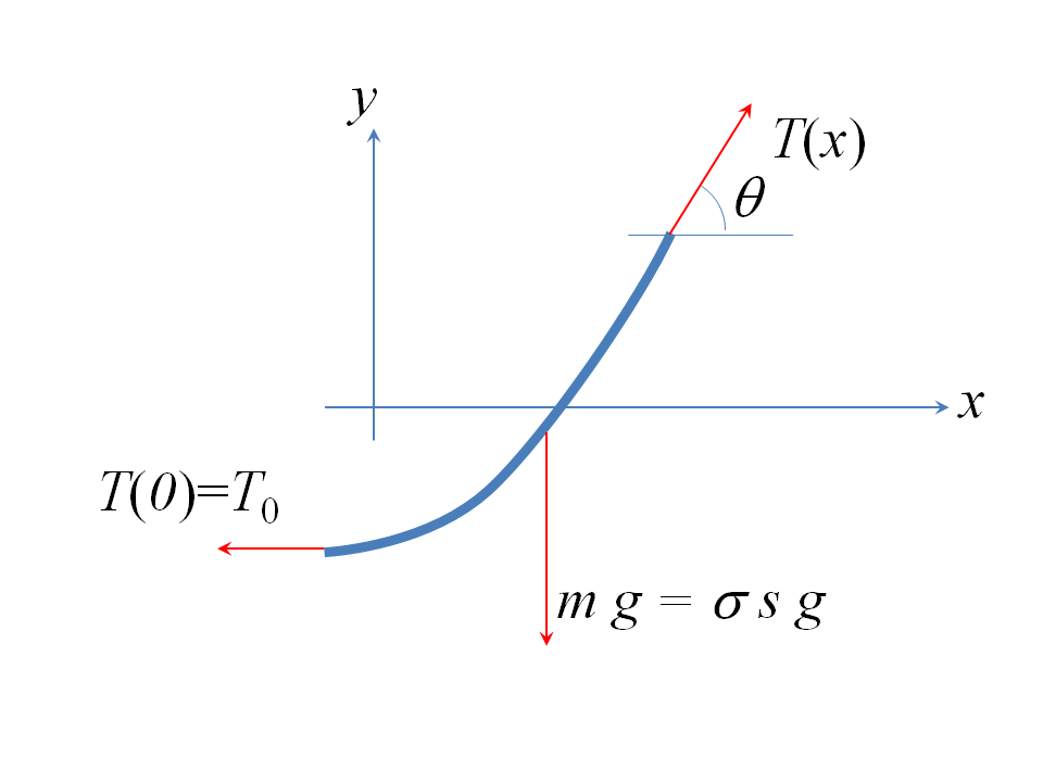 Catenary Section