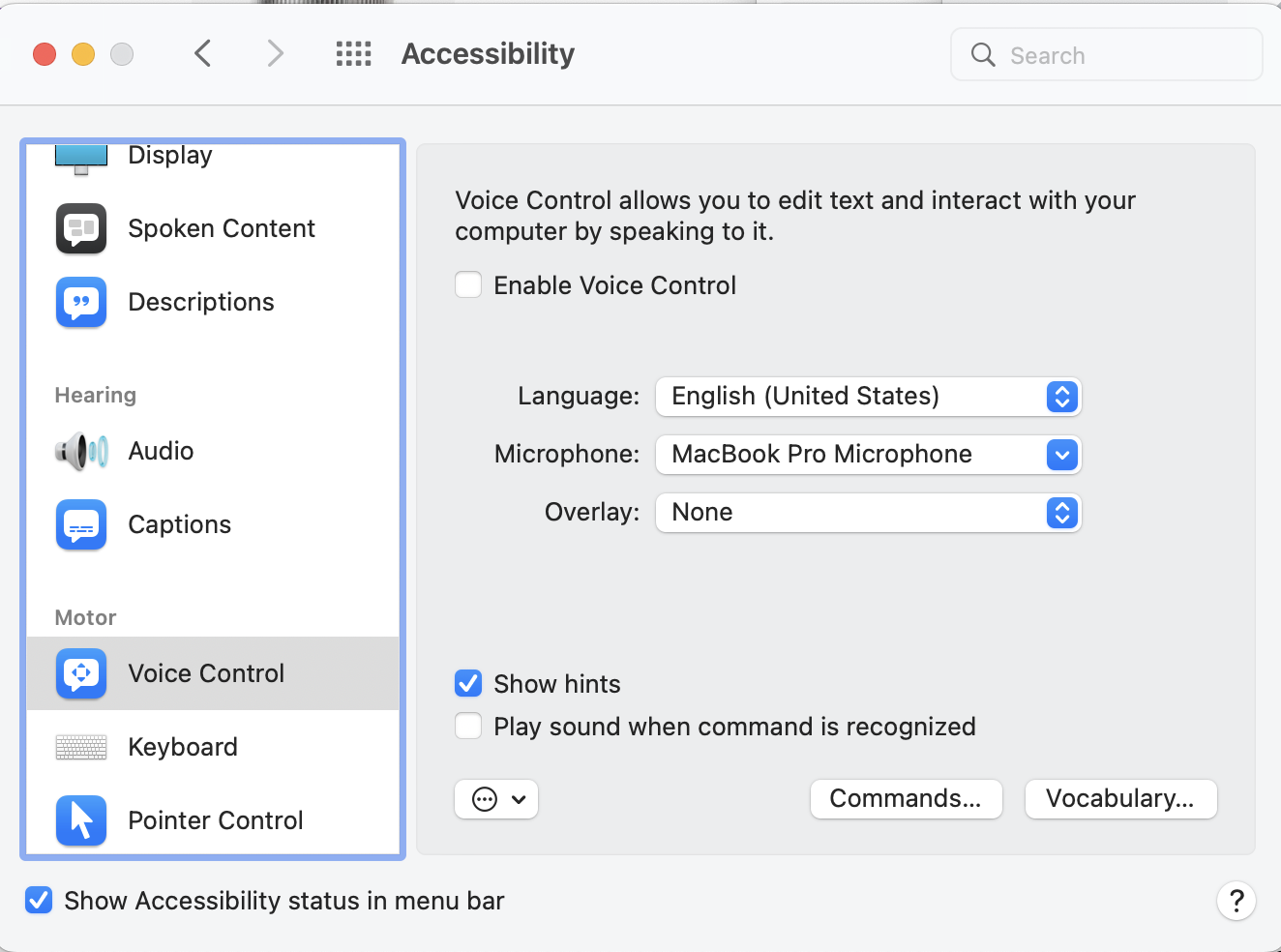 Screenshot of the Accessibility Preferences Pane showing the Voice Control options