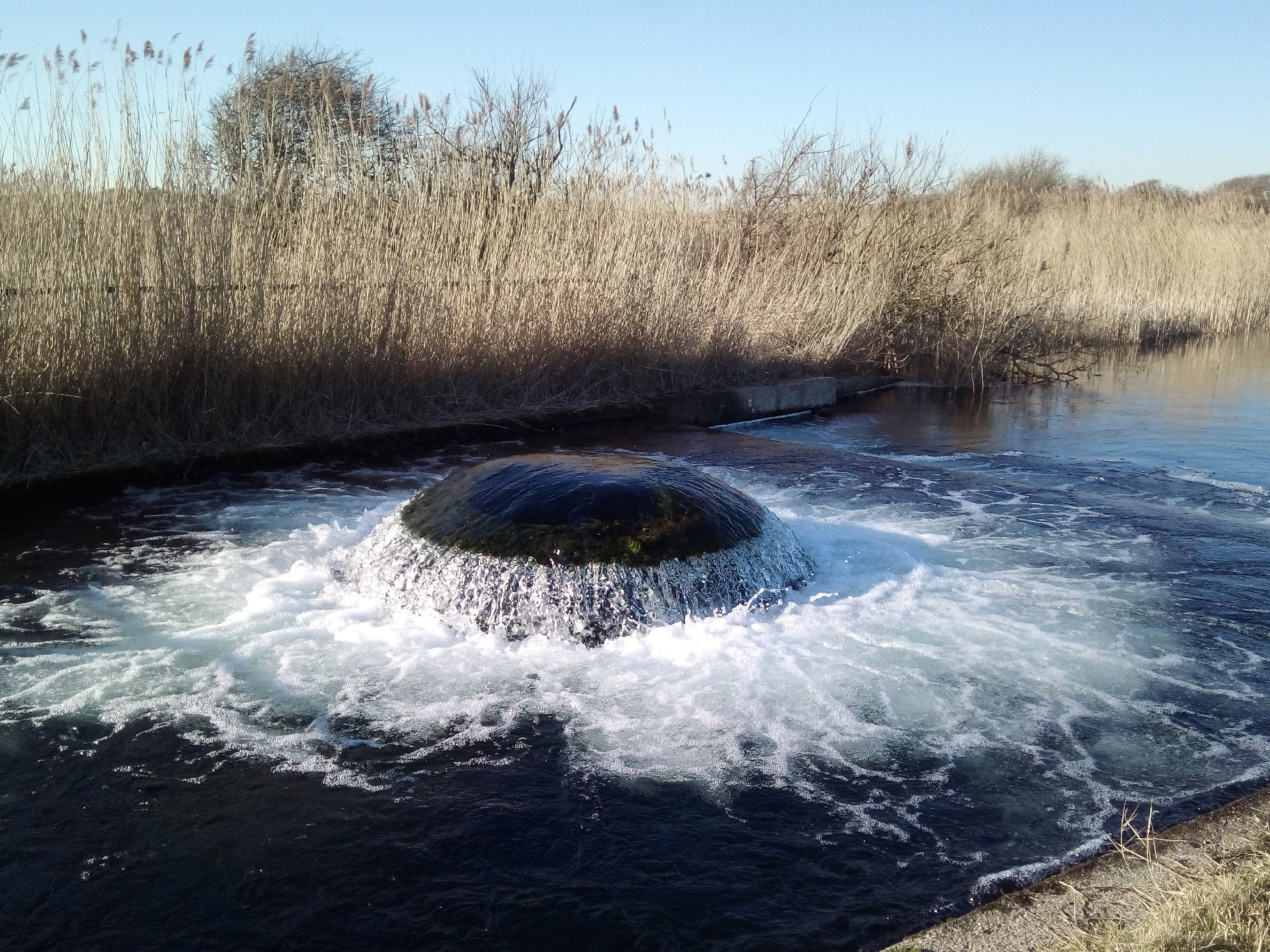 a mushroom shaped of water coming up.