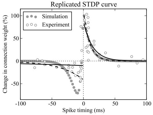 STDP_curve