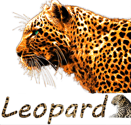 Leopard20's user avatar