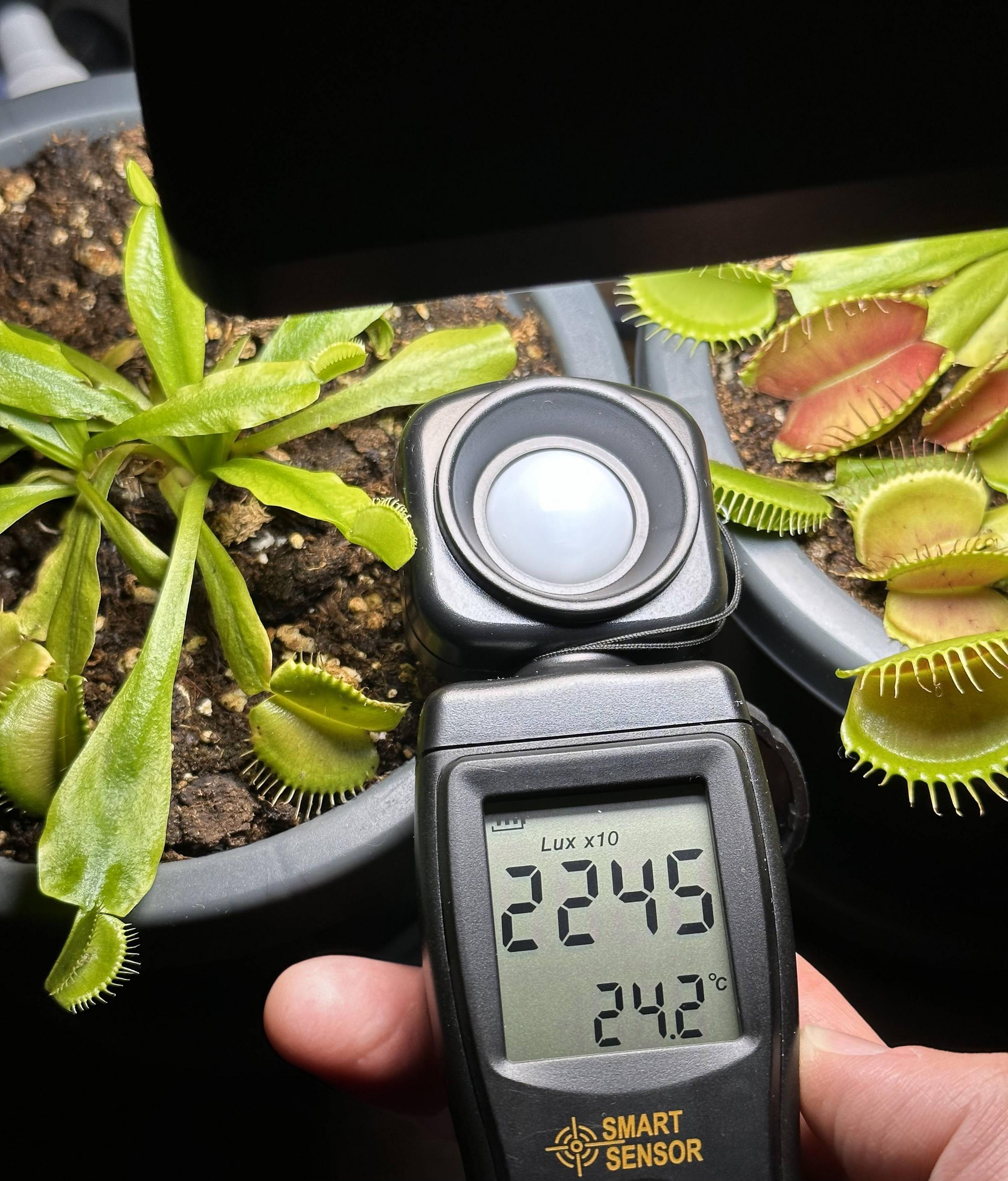 The same grow light with a light meter reading 22,450 LUX