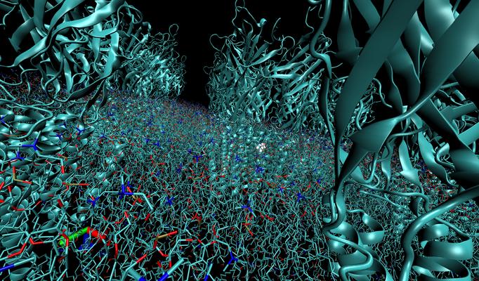 forest of ion channels